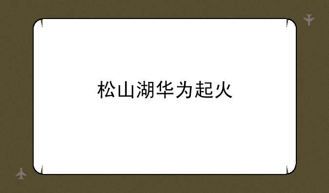 松山湖华为起火