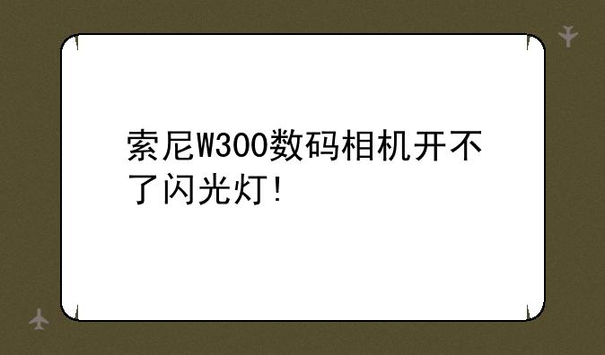 准备买数码相机 只想在索尼T300和索尼W300中选择.;索尼W300数码相