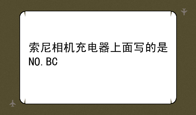 索尼相机充电器上面写的是NO.BC