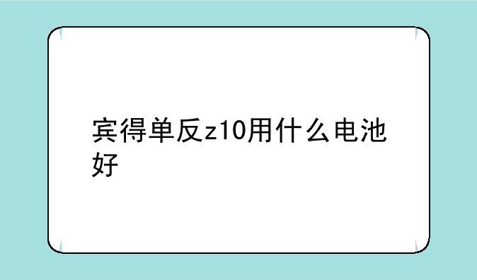 宾得单反z10用什么电池好
