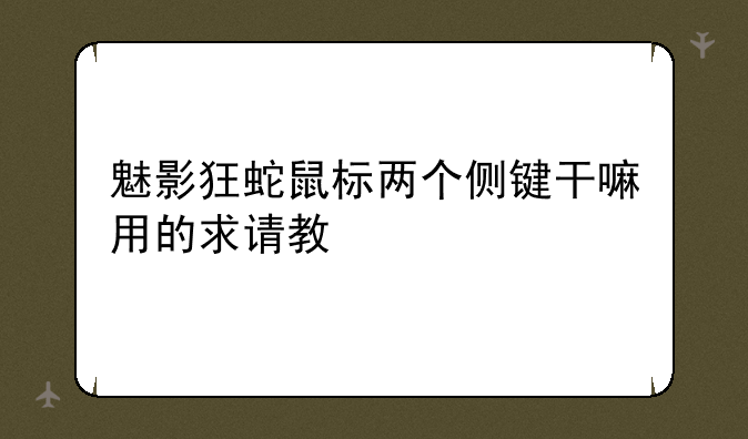 魅影狂蛇鼠标两个侧键干嘛用的求请教