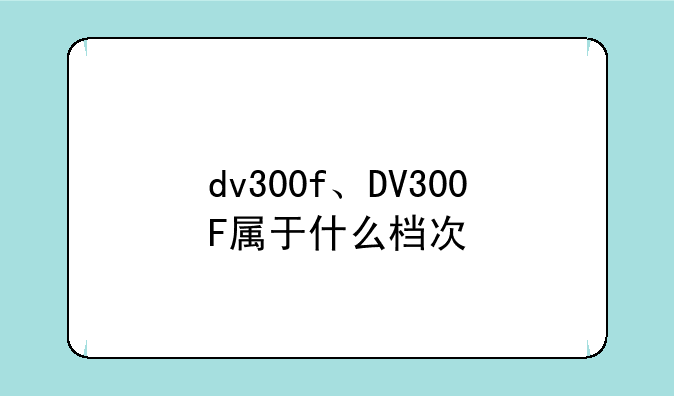 dv300f、DV300F属于什么档次