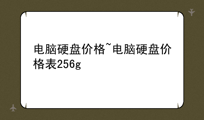 电脑硬盘价格~电脑硬盘价格表256g