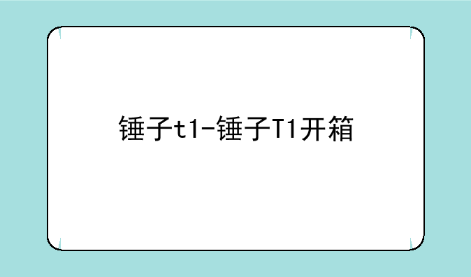 锤子t1-锤子T1开箱