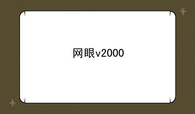 网眼v2000