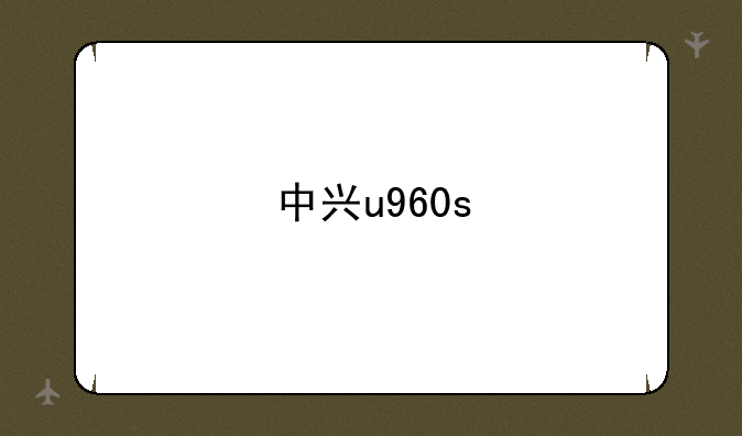 中兴u960s