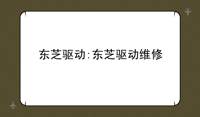 东芝驱动:东芝驱动维修