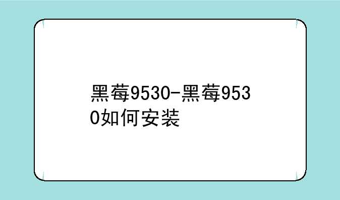 黑莓9530-黑莓9530如何安装